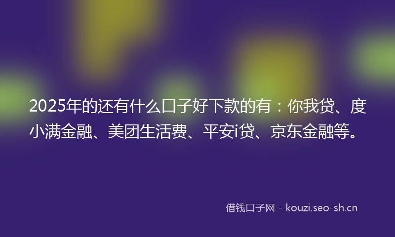 2025年的还有什么口子好下款的有：你我贷、度小满金融、美团生活费、平安i贷、京东金融等。