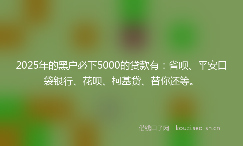 2025年的黑户必下5000的贷款有：省呗、平安口袋银行、花呗、柯基贷、替你还等。