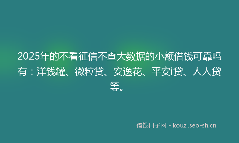 2025年的不看征信不查大数据的小额借钱可靠吗有：洋钱罐、微粒贷、安逸花、平安i贷、人人贷等。