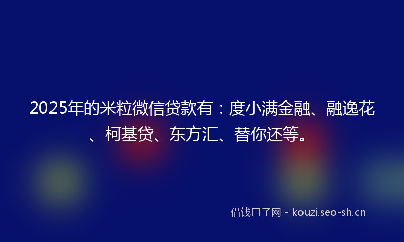 2025年的米粒微信贷款有：度小满金融、融逸花、柯基贷、东方汇、替你还等。