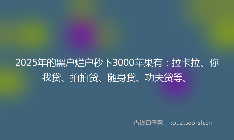 2025年的黑户烂户秒下3000苹果有：拉卡拉、你我贷、拍拍贷、随身贷、功夫贷等。