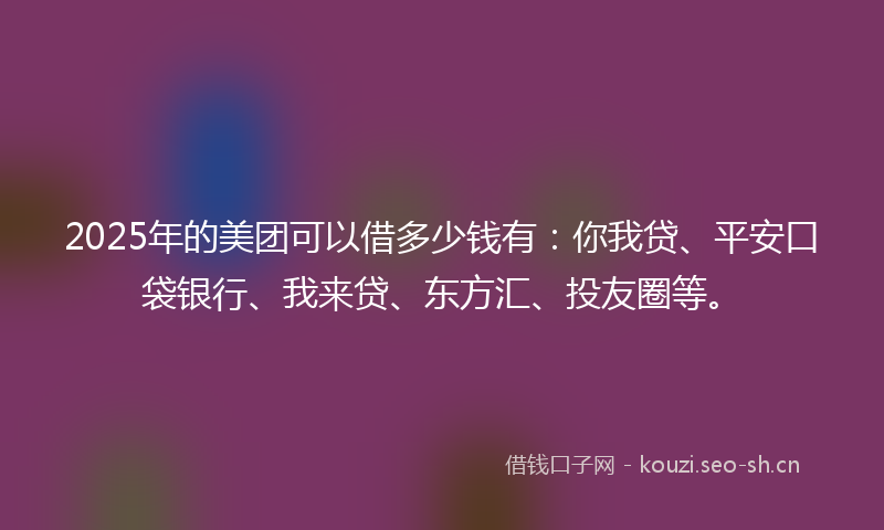 2025年的美团可以借多少钱有：你我贷、平安口袋银行、我来贷、东方汇、投友圈等。