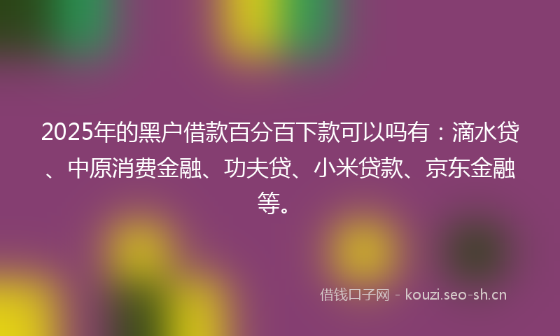 2025年的黑户借款百分百下款可以吗有：滴水贷、中原消费金融、功夫贷、小米贷款、京东金融等。