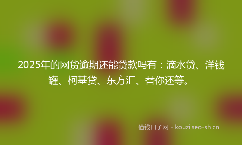 2025年的网货逾期还能贷款吗有：滴水贷、洋钱罐、柯基贷、东方汇、替你还等。