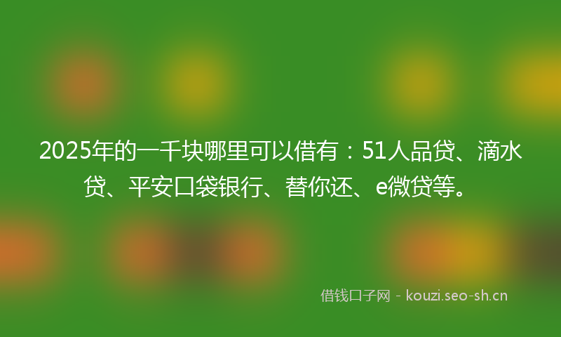 2025年的一千块哪里可以借有：51人品贷、滴水贷、平安口袋银行、替你还、e微贷等。