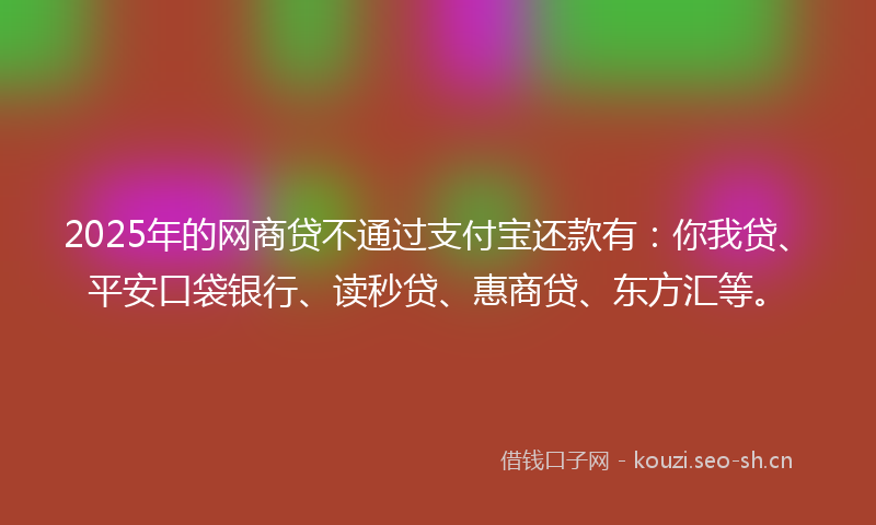 2025年的网商贷不通过支付宝还款有：你我贷、平安口袋银行、读秒贷、惠商贷、东方汇等。