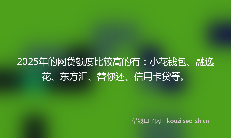 2025年的网贷额度比较高的有：小花钱包、融逸花、东方汇、替你还、信用卡贷等。