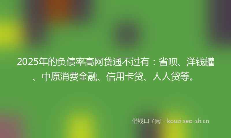 2025年的负债率高网贷通不过有：省呗、洋钱罐、中原消费金融、信用卡贷、人人贷等。