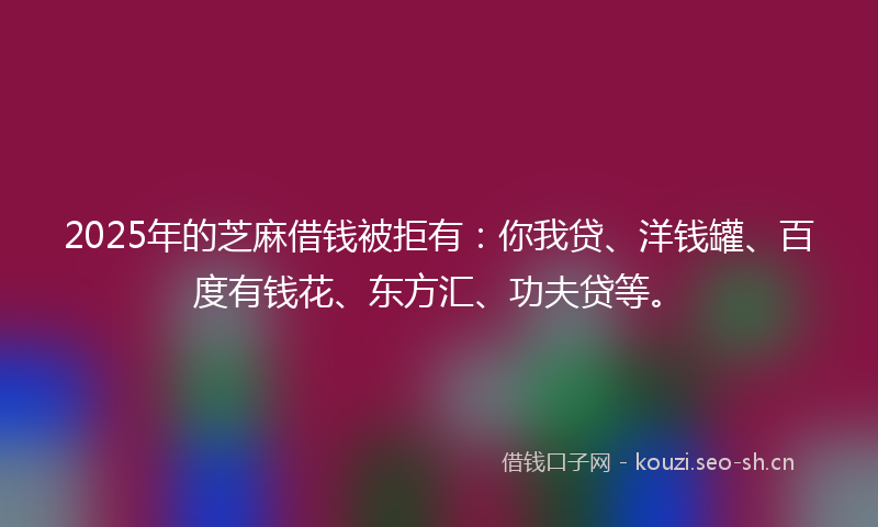2025年的芝麻借钱被拒有：你我贷、洋钱罐、百度有钱花、东方汇、功夫贷等。