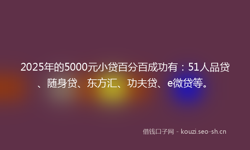 2025年的5000元小贷百分百成功有:51人品贷、随身贷、东方汇、功夫贷、e微贷等。