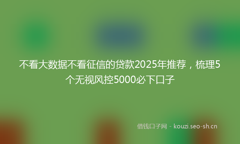 不看大数据不看征信的贷款2025年推荐，梳理5个无视风控5000必下口子