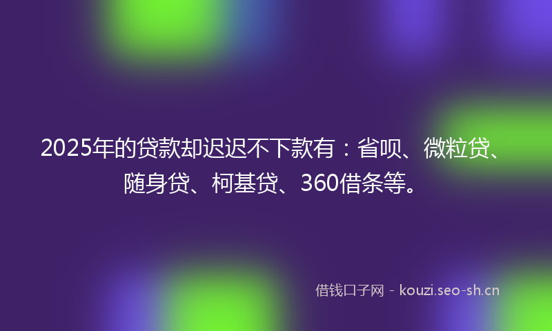 2025年的贷款却迟迟不下款有：省呗、微粒贷、随身贷、柯基贷、360借条等。