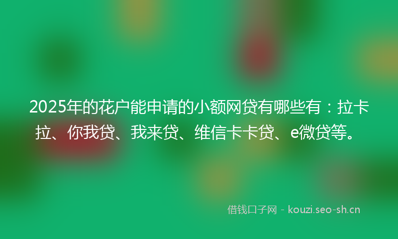 2025年的花户能申请的小额网贷有哪些有：拉卡拉、你我贷、我来贷、维信卡卡贷、e微贷等。