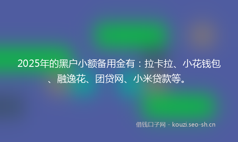 2025年的黑户小额备用金有：拉卡拉、小花钱包、融逸花、团贷网、小米贷款等。