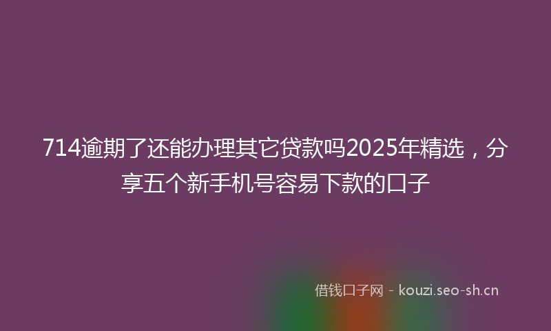 714逾期了还能办理其它贷款吗2025年精选,分享五个新手机号容易下款的口子