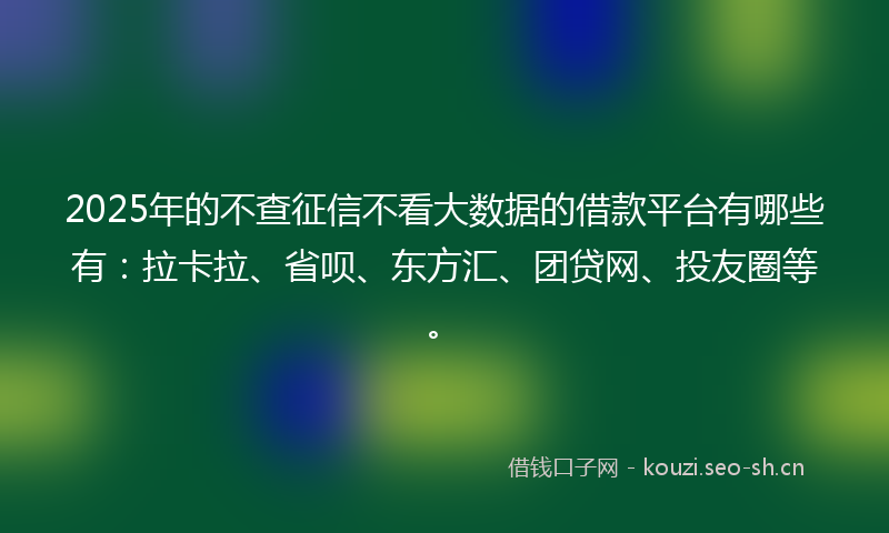 2025年的不查征信不看大数据的借款平台有哪些有：拉卡拉、省呗、东方汇、团贷网、投友圈等。
