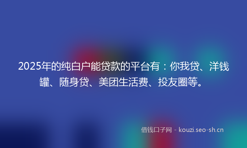 2025年的纯白户能贷款的平台有：你我贷、洋钱罐、随身贷、美团生活费、投友圈等。