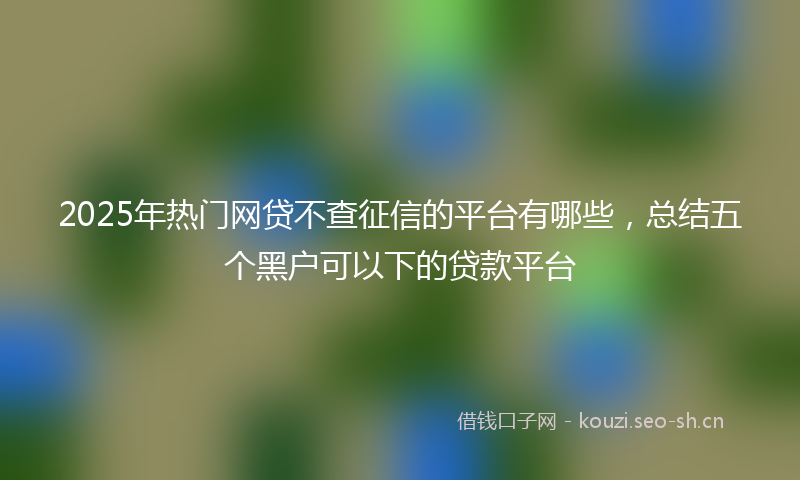 2025年热门网贷不查征信的平台有哪些，总结五个黑户可以下的贷款平台