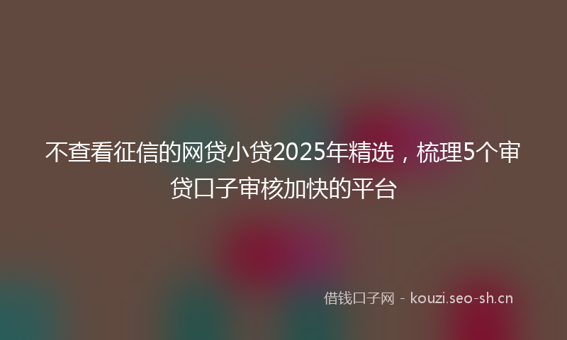 不查看征信的网贷小贷2025年精选,梳理5个审贷口子审核加快的平台