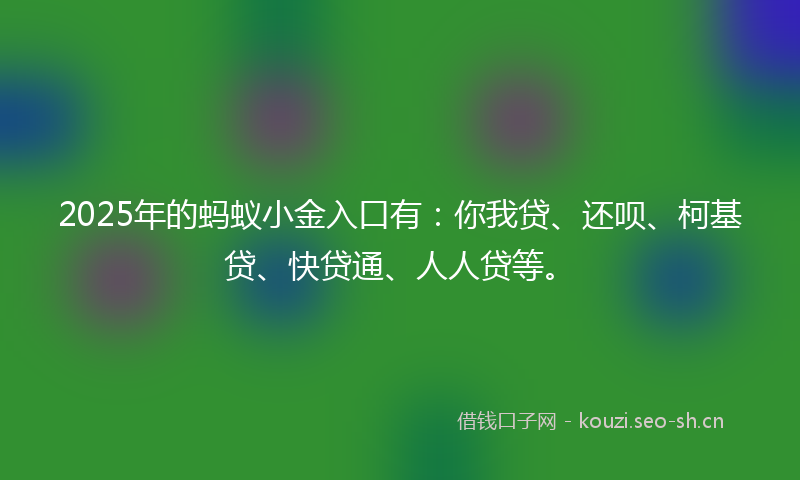 2025年的蚂蚁小金入口有：你我贷、还呗、柯基贷、快贷通、人人贷等。