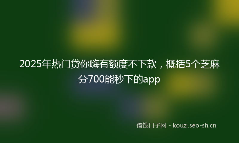 2025年热门贷你嗨有额度不下款，概括5个芝麻分700能秒下的app