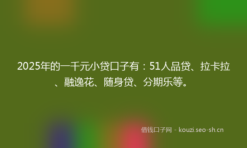 2025年的一千元小贷口子有：51人品贷、拉卡拉、融逸花、随身贷、分期乐等。