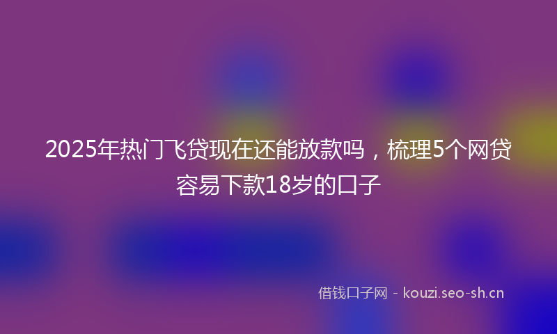 2025年热门飞贷现在还能放款吗，梳理5个网贷容易下款18岁的口子