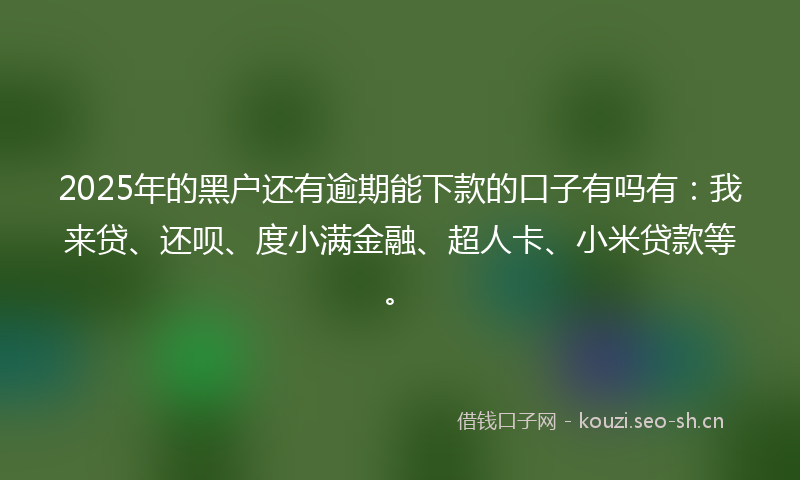 2025年的黑户还有逾期能下款的口子有吗有：我来贷、还呗、度小满金融、超人卡、小米贷款等。