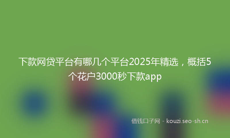 下款网贷平台有哪几个平台2025年精选,概括5个花户3000秒下款app