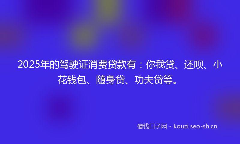 2025年的驾驶证消费贷款有：你我贷、还呗、小花钱包、随身贷、功夫贷等。