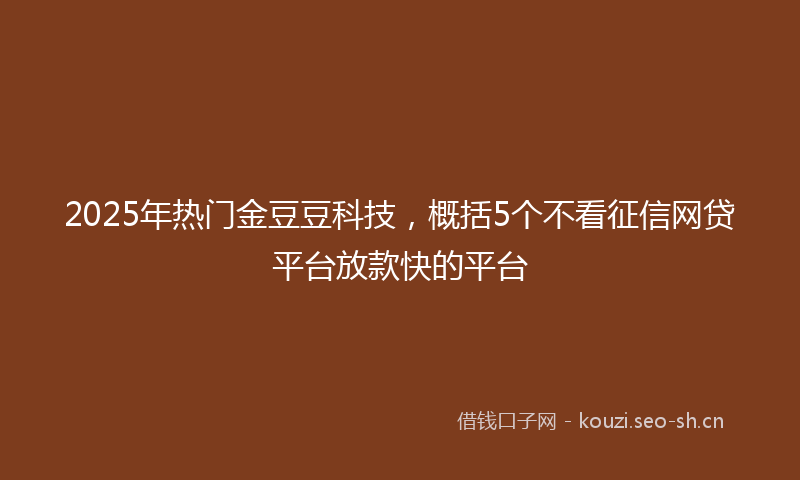 2025年热门金豆豆科技，概括5个不看征信网贷平台放款快的平台