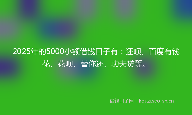 2025年的5000小额借钱口子有：还呗、百度有钱花、花呗、替你还、功夫贷等。
