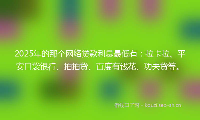 2025年的那个网络贷款利息最低有：拉卡拉、平安口袋银行、拍拍贷、百度有钱花、功夫贷等。