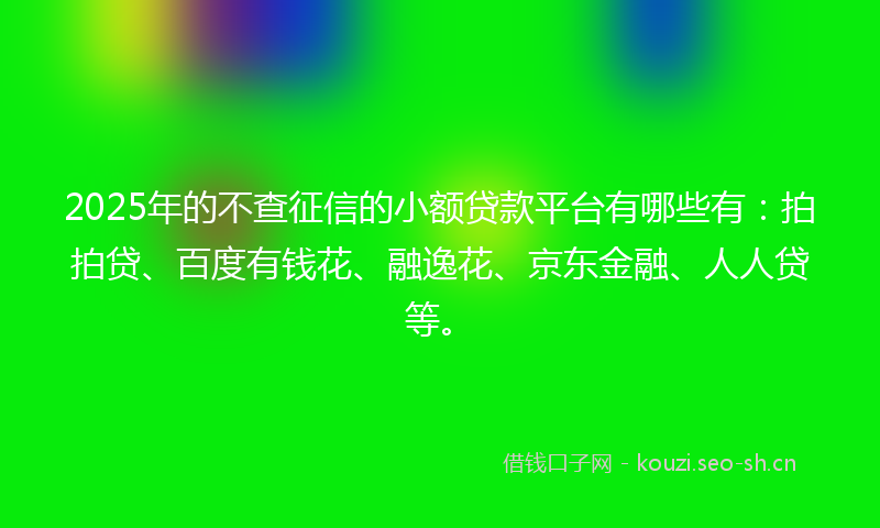 2025年的不查征信的小额贷款平台有哪些有：拍拍贷、百度有钱花、融逸花、京东金融、人人贷等。
