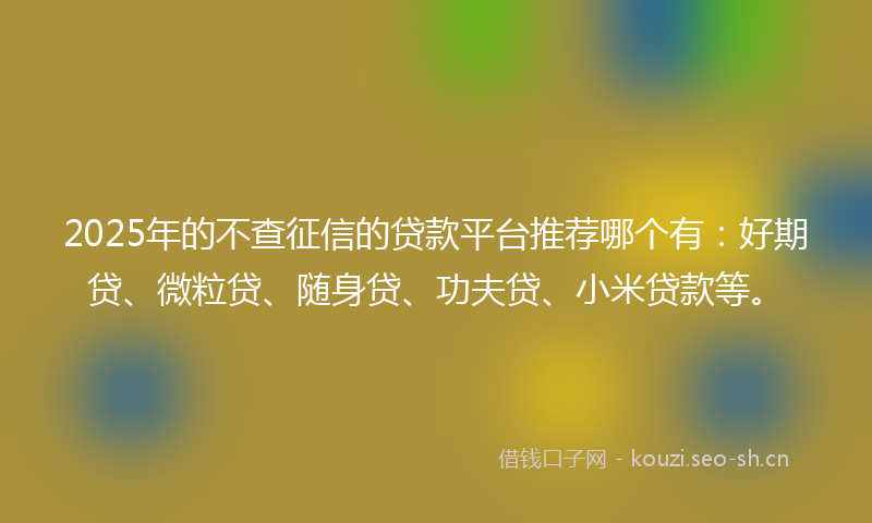 2025年的不查征信的贷款平台推荐哪个有：好期贷、微粒贷、随身贷、功夫贷、小米贷款等。