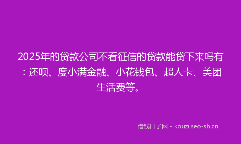 2025年的贷款公司不看征信的贷款能贷下来吗有：还呗、度小满金融、小花钱包、超人卡、美团生活费等。