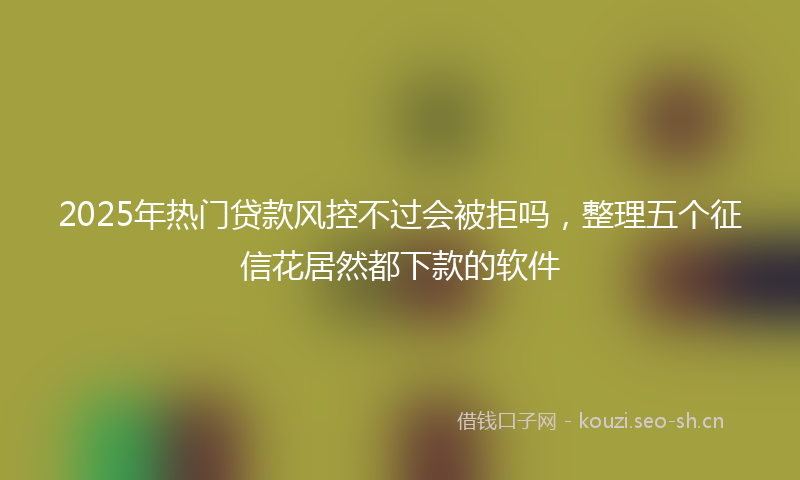 2025年热门贷款风控不过会被拒吗，整理五个征信花居然都下款的软件