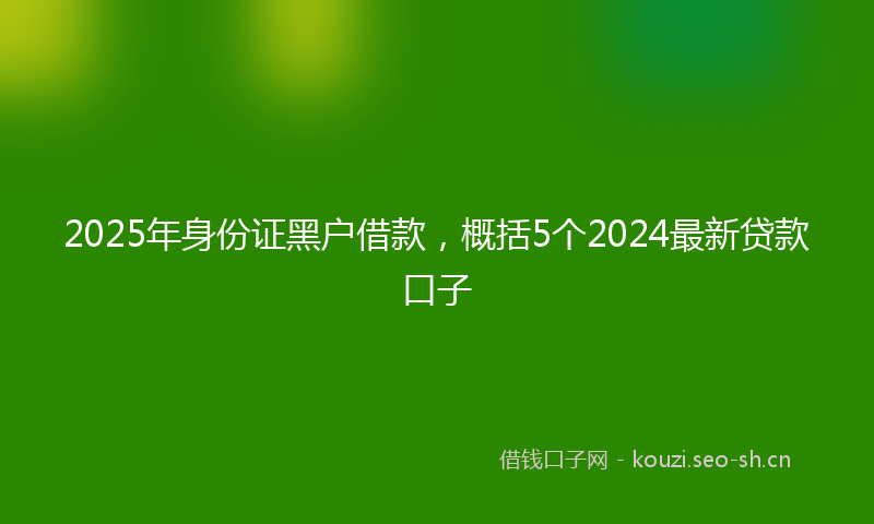 2025年身份证黑户借款，概括5个2024最新贷款口子