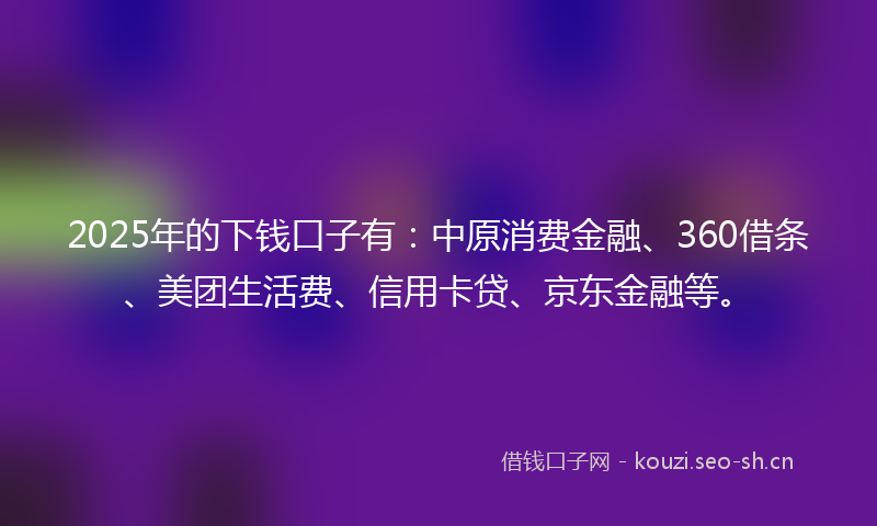 2025年的下钱口子有：中原消费金融、360借条、美团生活费、信用卡贷、京东金融等。