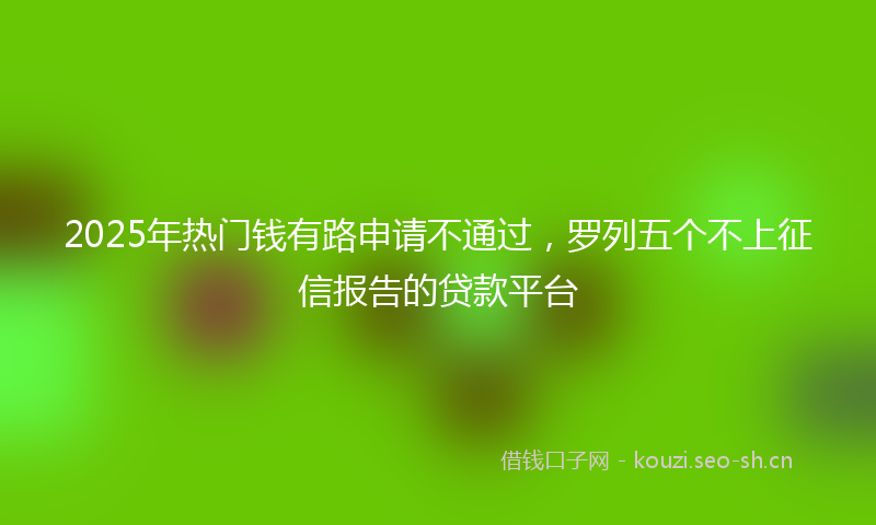 2025年热门钱有路申请不通过，罗列五个不上征信报告的贷款平台