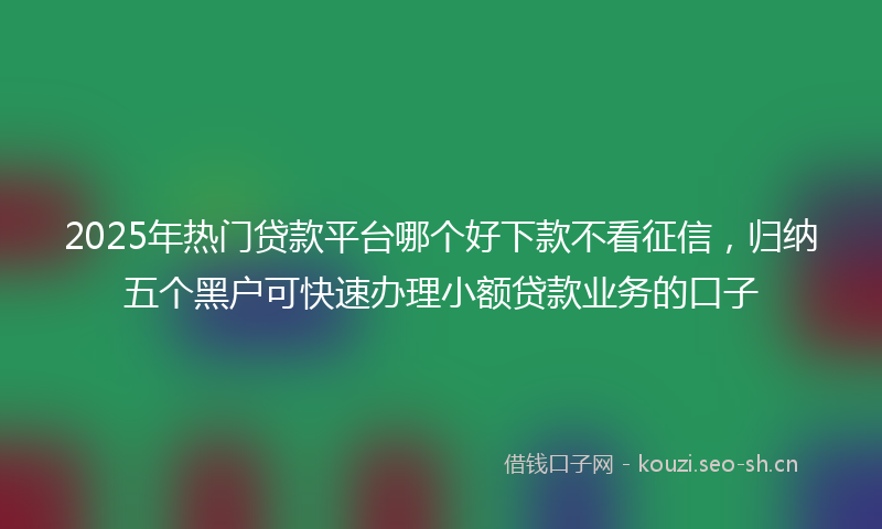 2025年热门贷款平台哪个好下款不看征信，归纳五个黑户可快速办理小额贷款业务的口子