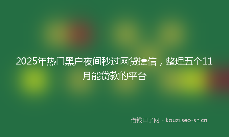 2025年热门黑户夜间秒过网贷捷信，整理五个11月能贷款的平台