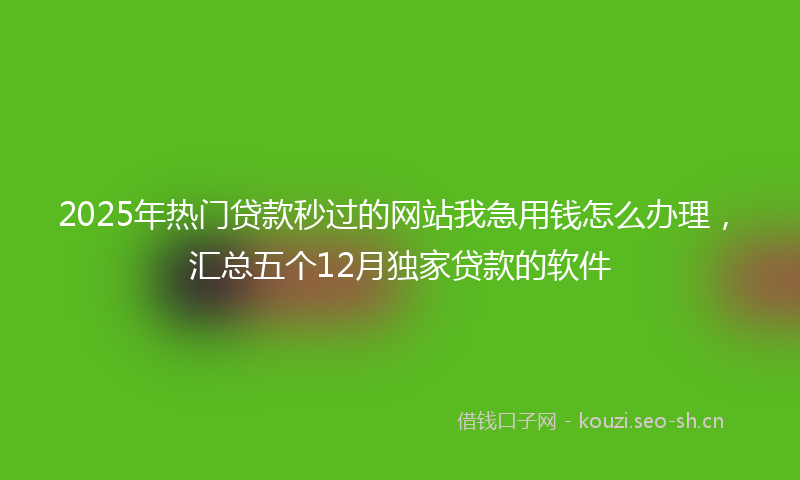 2025年热门贷款秒过的网站我急用钱怎么办理，汇总五个12月独家贷款的软件