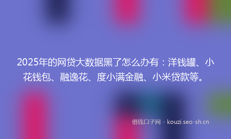 2025年的网贷大数据黑了怎么办有:洋钱罐、小花钱包、融逸花、度小满金融、小米贷款等。