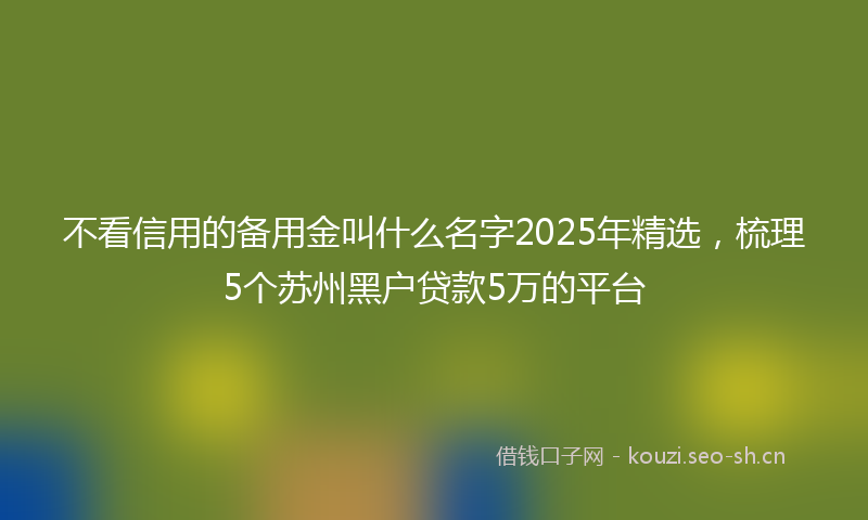 不看信用的备用金叫什么名字2025年精选，梳理5个苏州黑户贷款5万的平台