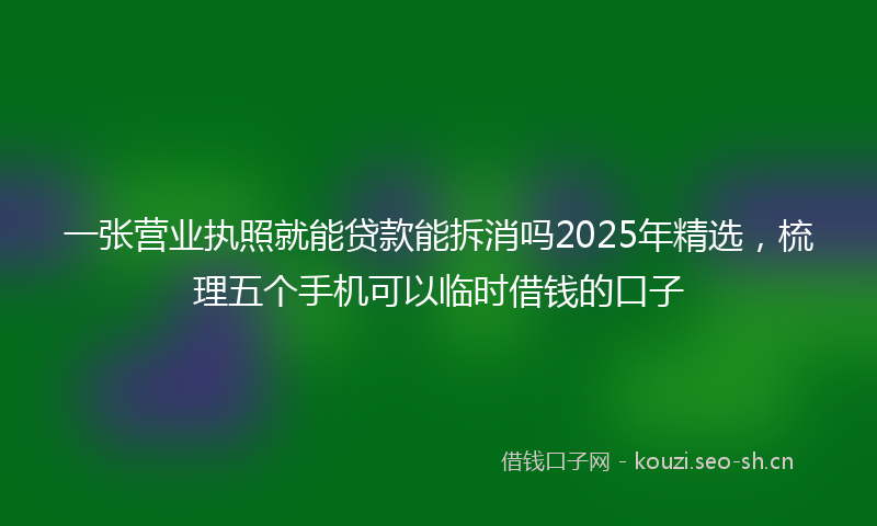 一张营业执照就能贷款能拆消吗2025年精选，梳理五个手机可以临时借钱的口子