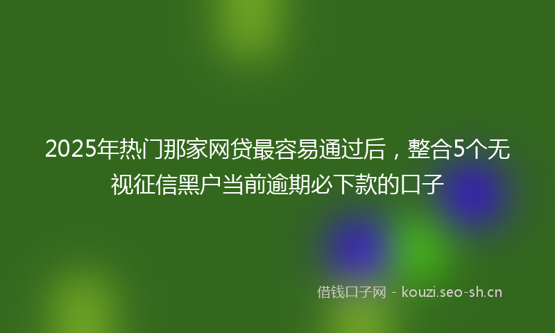 2025年热门那家网贷最容易通过后，整合5个无视征信黑户当前逾期必下款的口子