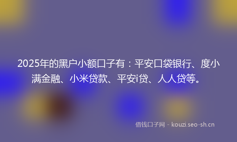 2025年的黑户小额口子有：平安口袋银行、度小满金融、小米贷款、平安i贷、人人贷等。