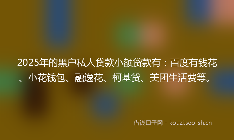 2025年的黑户私人贷款小额贷款有：百度有钱花、小花钱包、融逸花、柯基贷、美团生活费等。
