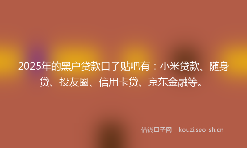 2025年的黑户贷款口子贴吧有：小米贷款、随身贷、投友圈、信用卡贷、京东金融等。